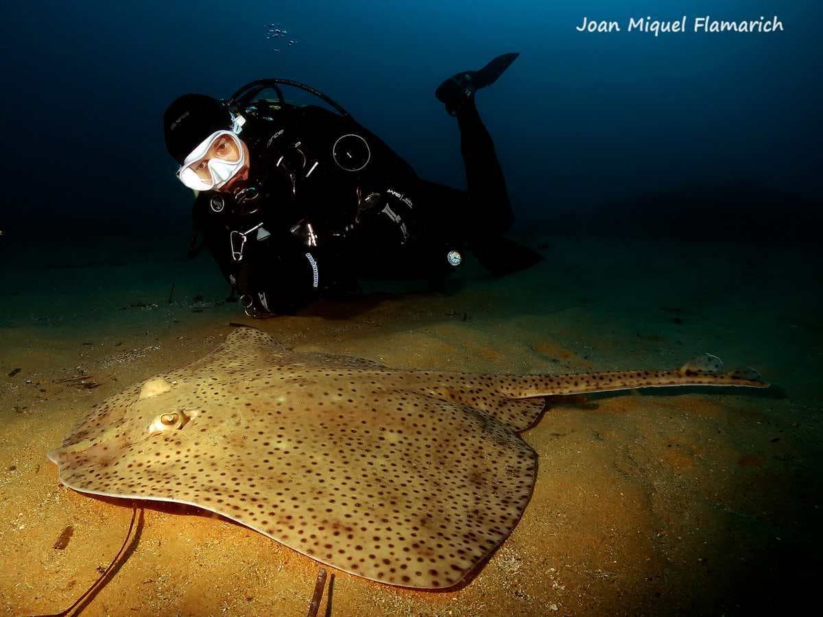 Your first underwater experience 2