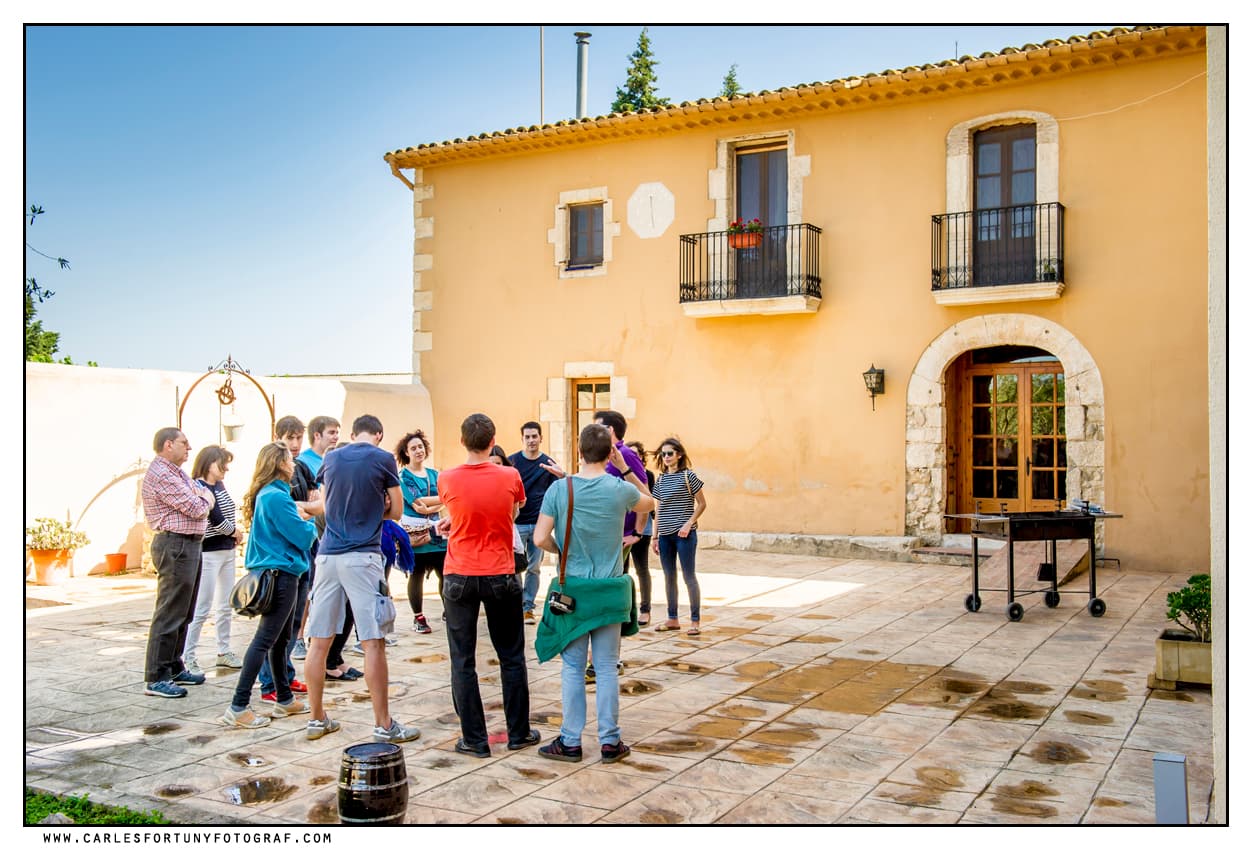 Visita Nuestros Viñedos y Celler: Sumérgete en la Historia del Cava 4