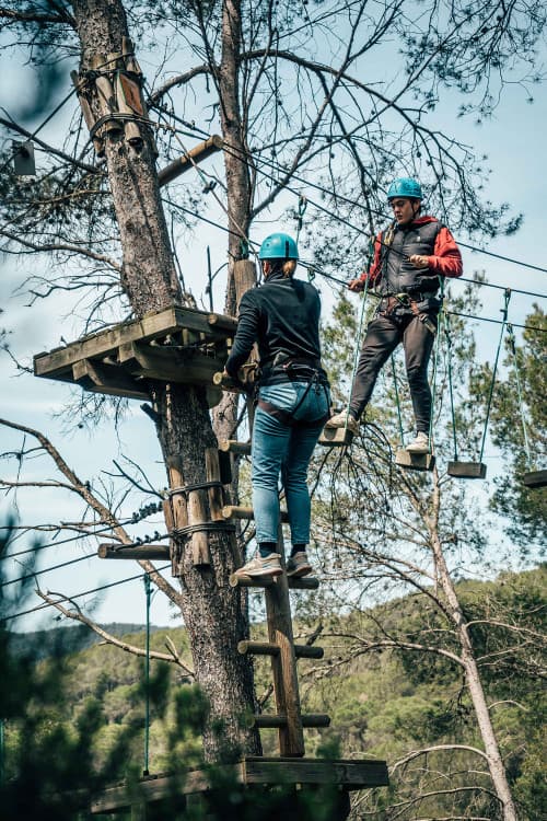 Aventura en los Árboles: Desafía la Gravedad con Total Seguridad 3