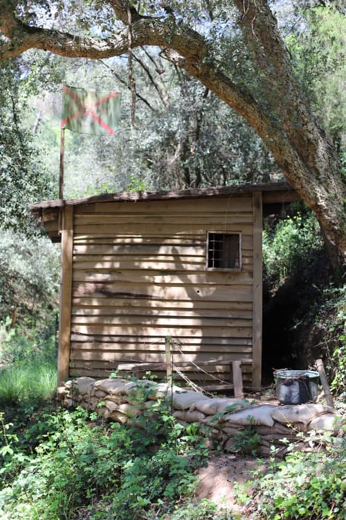 Experience the Adventure of the Forest Escape Game: Outdoor Challenge in the Woods! 2