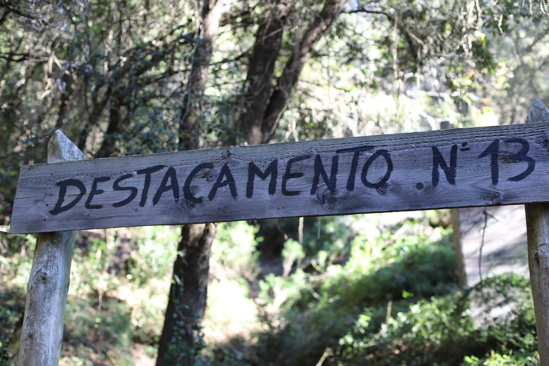 Experience the Adventure of the Forest Escape Game: Outdoor Challenge in the Woods!